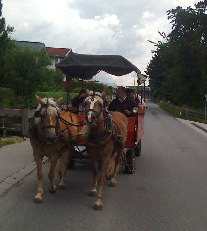 Chlausgesellschaft.ch Neuenhof Ausflug 2013 Muenster Tirol Hauserwirt & Kutschenfahrt (56)